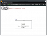 "https://vpn1.uni-halle.de" im Browser