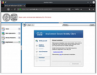 Manueller Download der AnyConnect-Client-Installationsdateien
