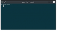 VPN Linux: Empty terminal