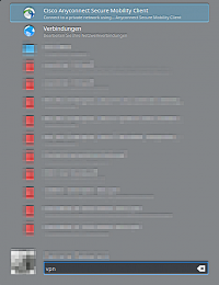 "vpn"-Eingabe im Hauptmenü